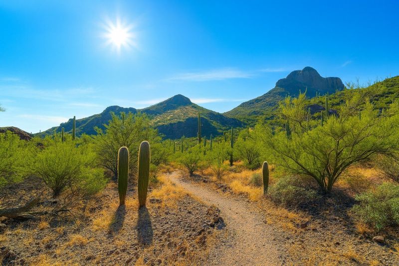 Local Chimney Cleaning Service in Marana, AZ