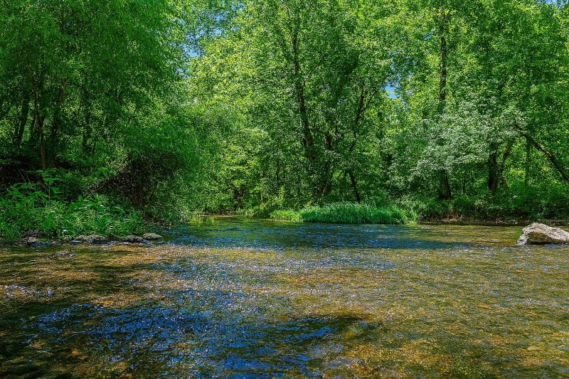 Local Chimney Cleaning Service in Smyrna, TN
