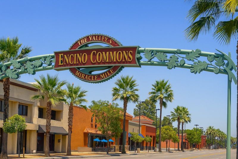 Local Chimney Cleaning Service in Encino, CA