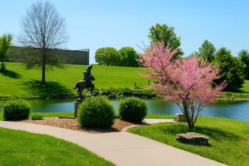 Local Chimney Cleaning Service in Pleasant Hill, MO