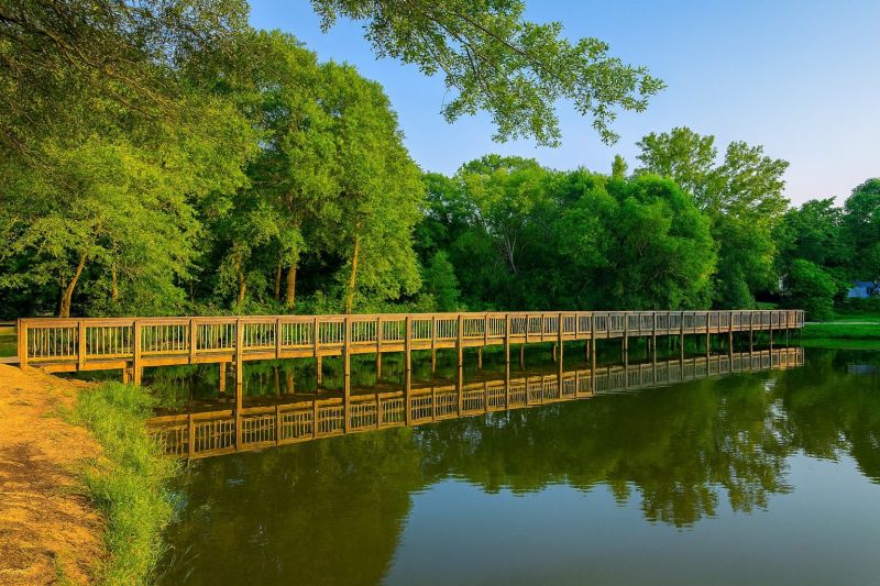 Local Chimney Cleaning Service in Davidson, NC