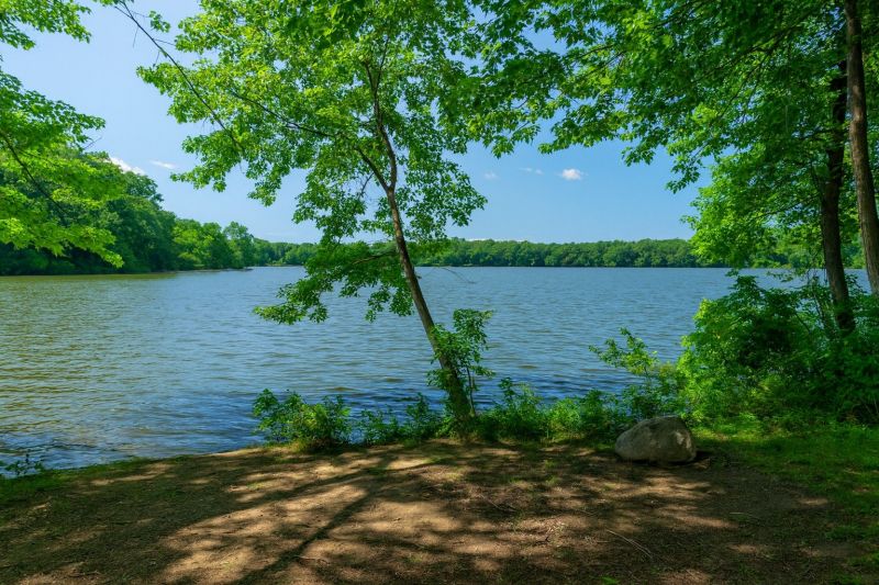 Local Chimney Inspection Service in Richboro, PA