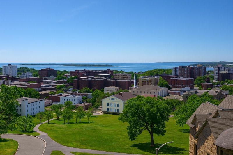 Local Chimney Inspection Service in Lynn, MA