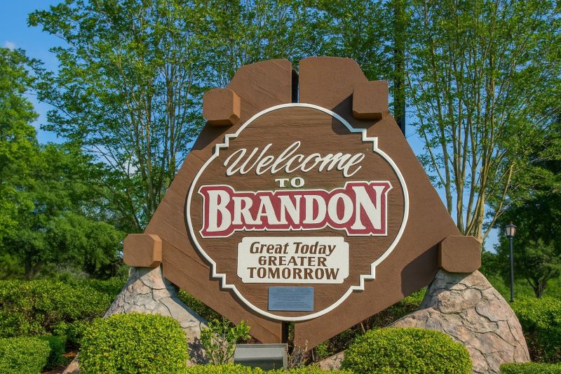 Local Chimney Inspection Service in Brandon, FL