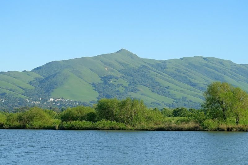 Local Chimney Inspection Service in Fremont, CA