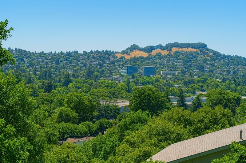 Local Chimney Inspection Service in Castro Valley, CA