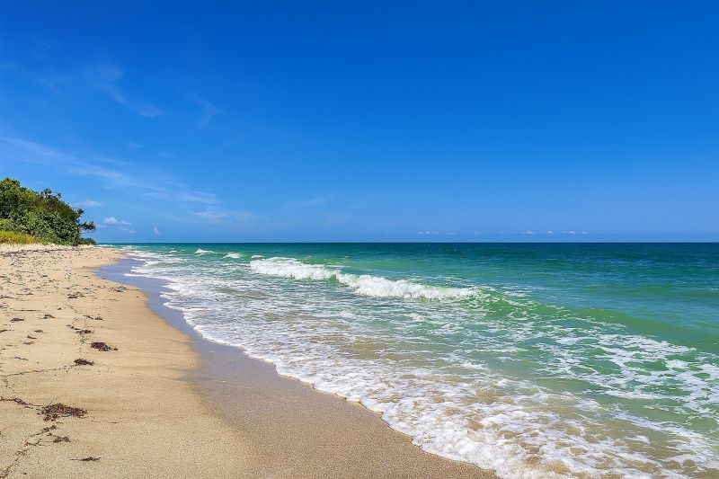 Local Chimney Sweeping in Dunedin, FL